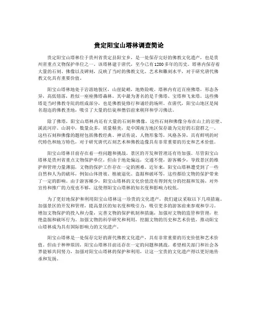 贵定阳宝山塔林调查简论