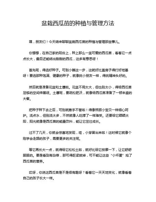 盆栽西瓜苗的种植与管理方法