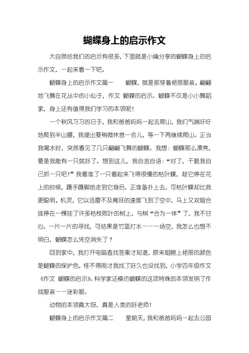 蝴蝶身上的启示作文