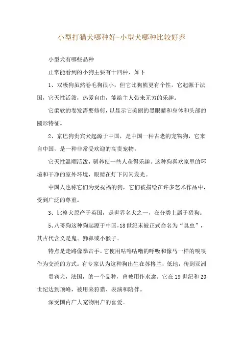 小型打猎犬哪种好-小型犬哪种比较好养