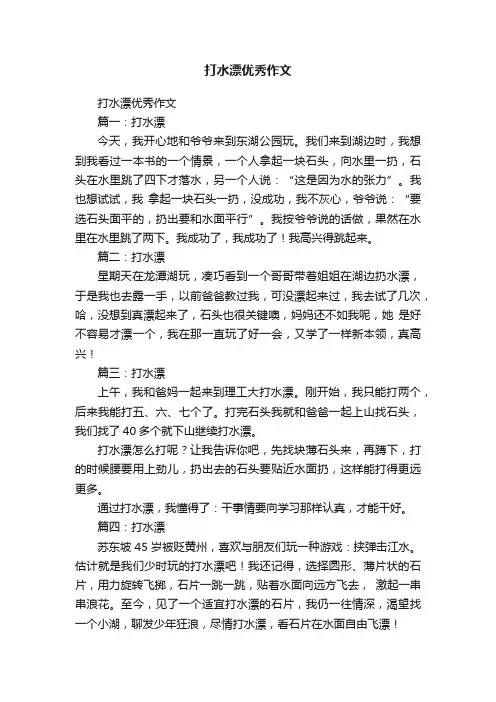 打水漂优秀作文