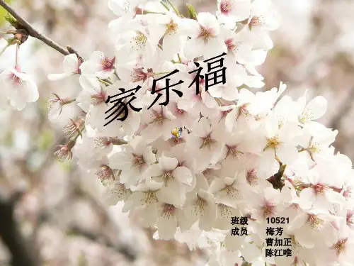 家乐福的成功