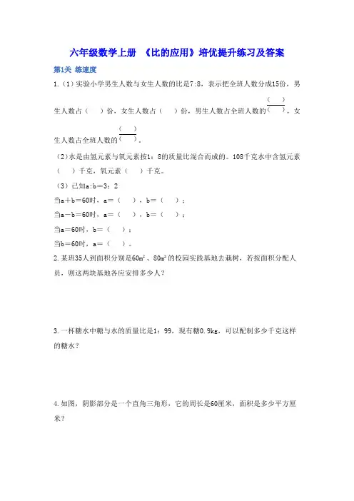 六年级数学上册 《比的应用》培优提升练习及答案
