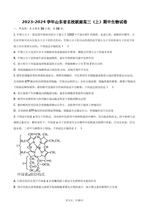 2023-2024学年山东省名校联盟高三(上)期中生物试卷+答案解析(附后)