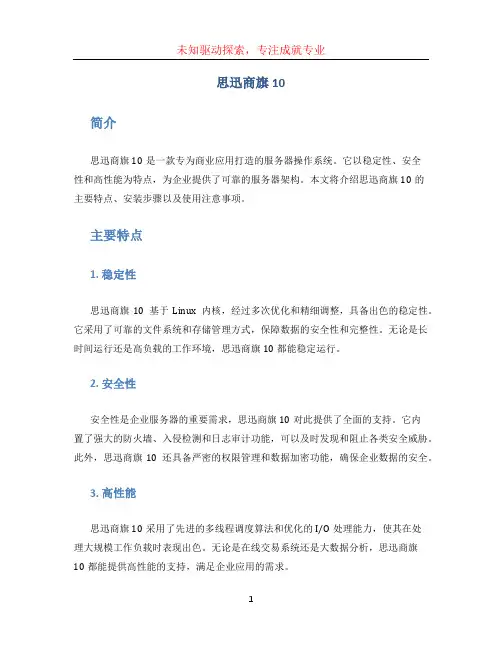 思迅商旗10 (2)