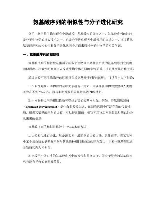 氨基酸序列的相似性与分子进化研究