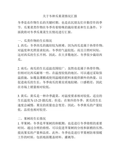 关于冬种瓜果菜情况汇报