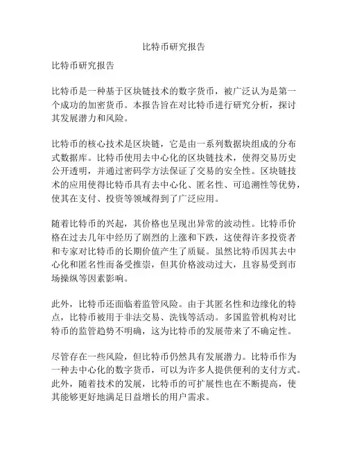 比特币研究报告