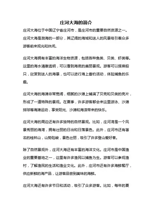 庄河大海的简介