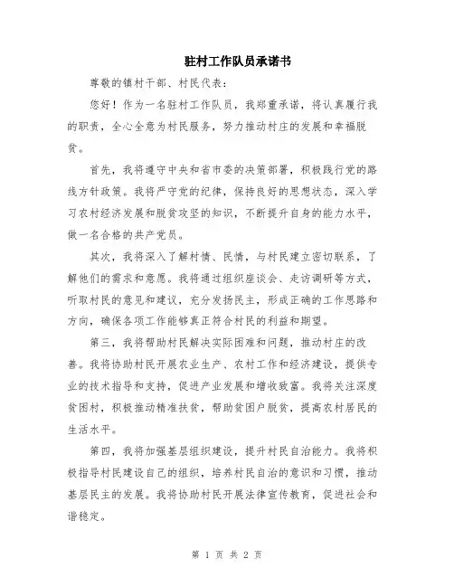 驻村工作队员承诺书