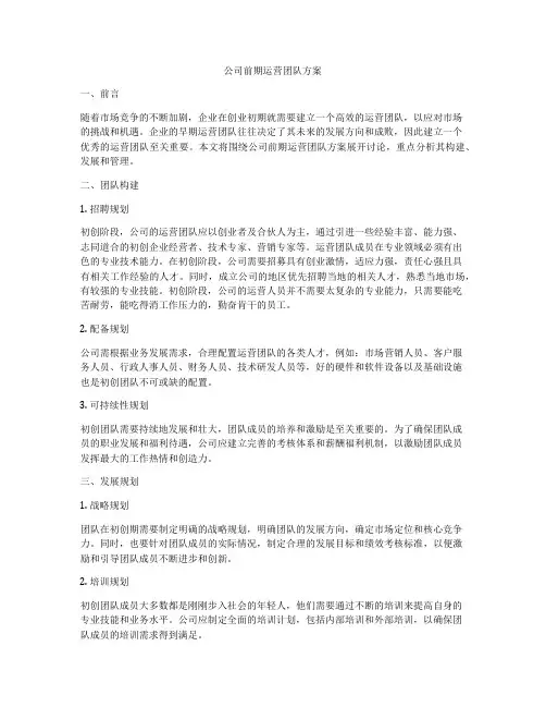 公司前期运营团队方案