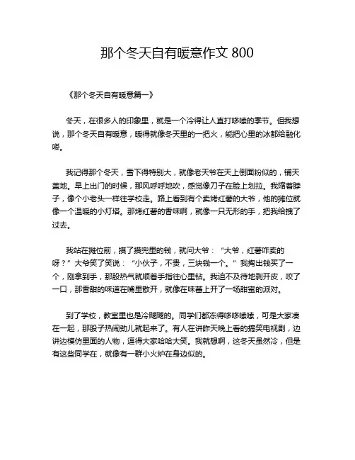 那个冬天自有暖意作文800
