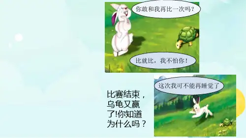2.位置与方向(二)课件数学六年级上册(19张ppt)人教版