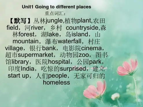 剑桥少儿英语二级总复习资料