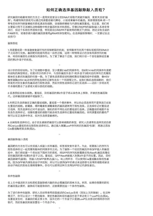 如何正确选择基因敲除敲入质粒？