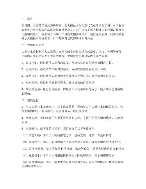 大棚实践心得体会范文