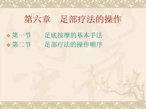足疗中反射区及操作流程ppt课件