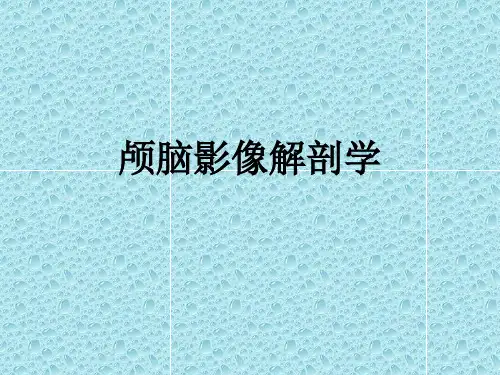 颅脑影像解剖学PPT课件
