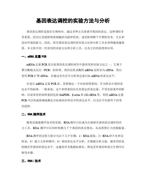 基因表达调控的实验方法与分析