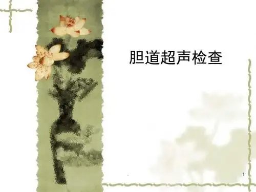 胆道超声检查PPT医学课件