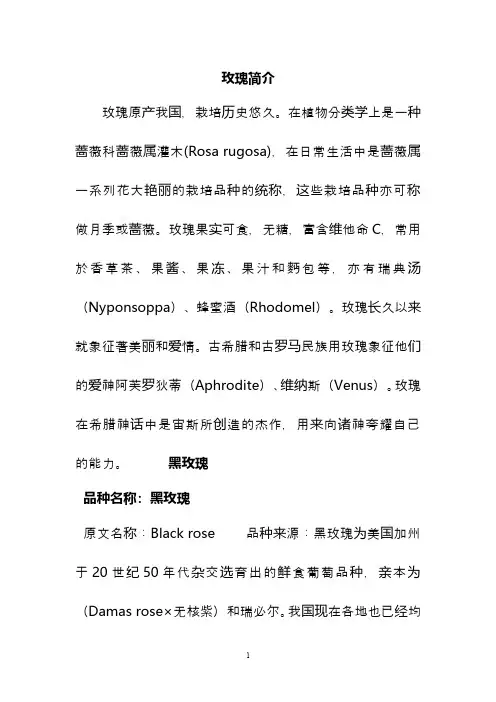 玫瑰简介