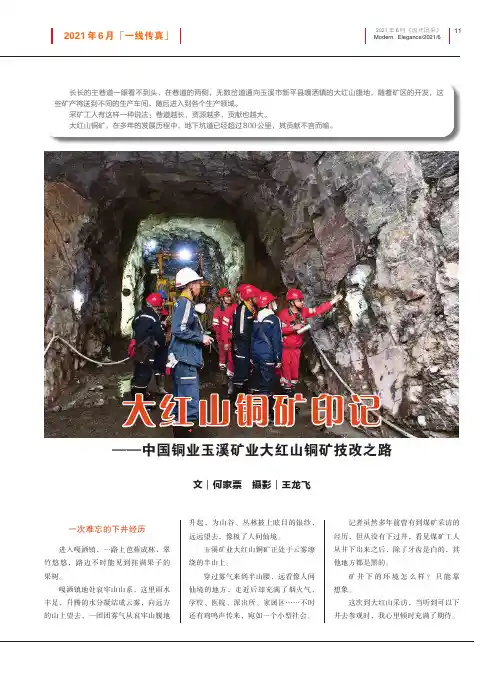 大红山铜矿印记——中国铜业玉溪矿业大红山铜矿技改之路