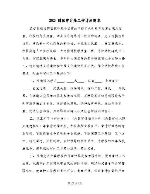 2024财政审计处工作计划范本（四篇）