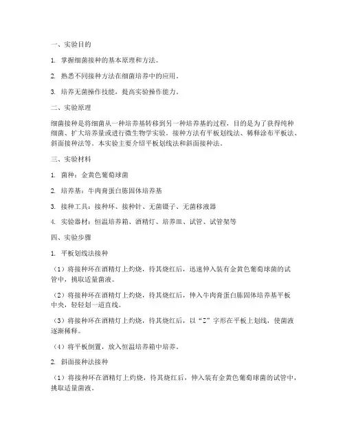 实训报告细菌接种法