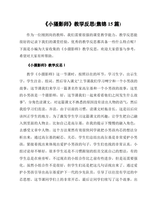 《小摄影师》教学反思(集锦15篇)