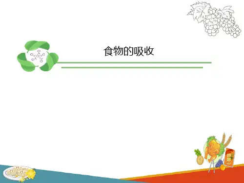 食物的消化与吸收—食物的消化与吸收