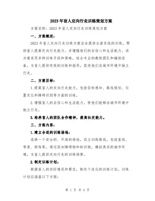 2023年盲人定向行走训练策划方案