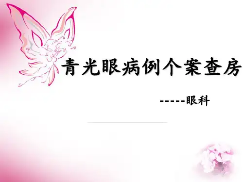 青光眼病例个案查房 ppt课件
