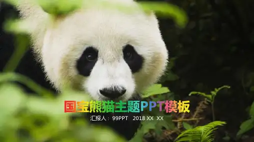 ppt模板：国宝熊猫主题PPT模板