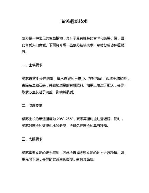 紫苏栽培技术