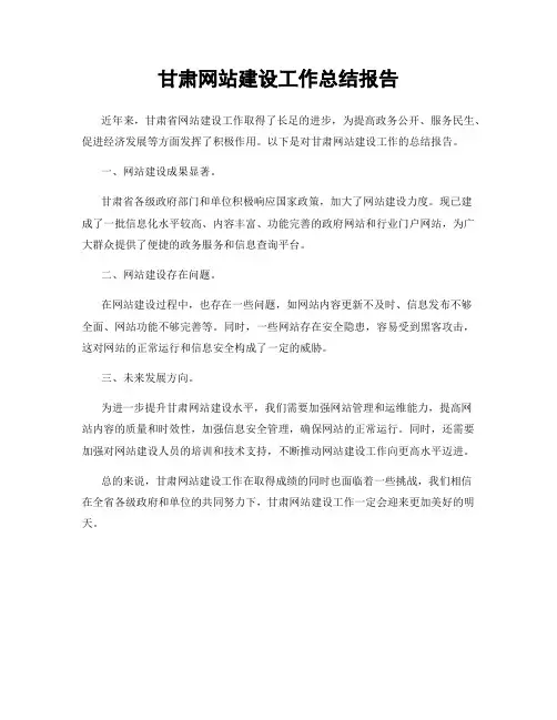 甘肃网站建设工作总结报告