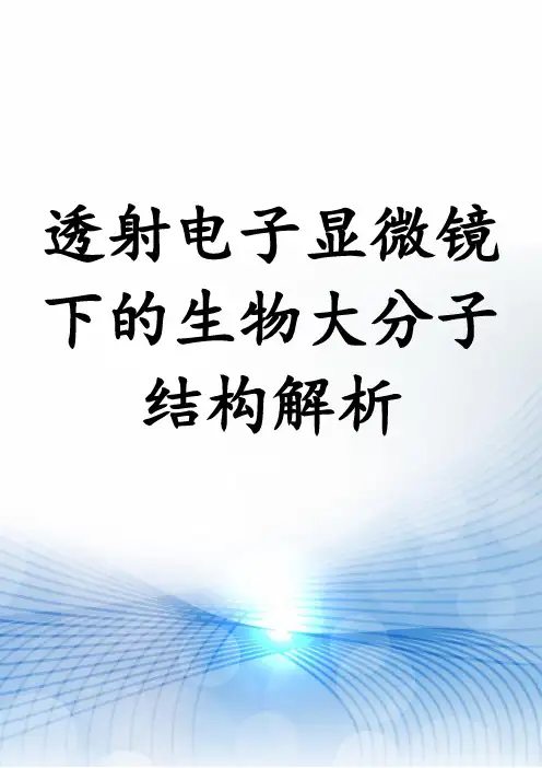 透射电子显微镜下的生物大分子结构解析