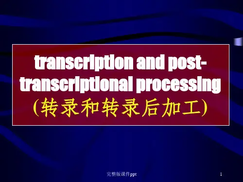 分子生物学--转录与转录后加工
