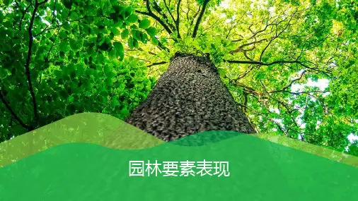 园林制图教程-园林要素表现