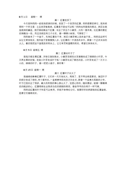 红薯观察日记