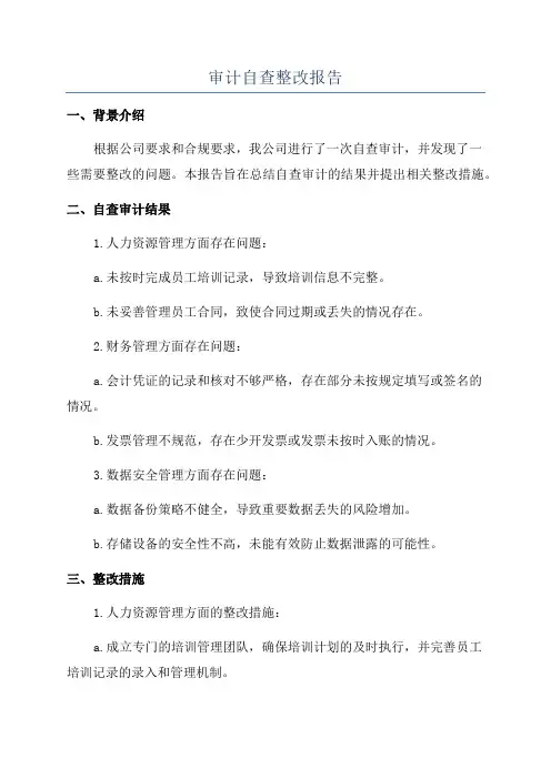 审计自查整改报告