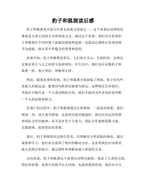豹子和狐狸读后感