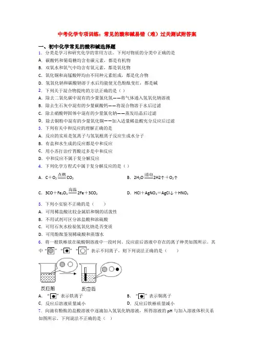 中考化学专项训练：常见的酸和碱易错(难)过关测试附答案