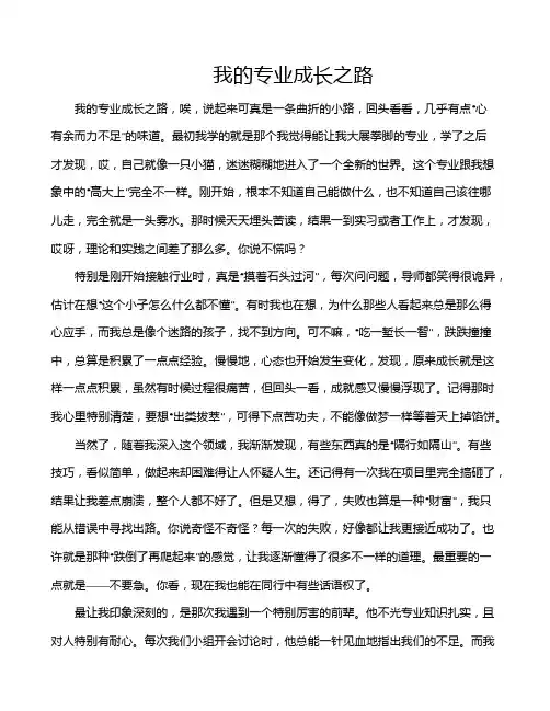 我的专业成长之路