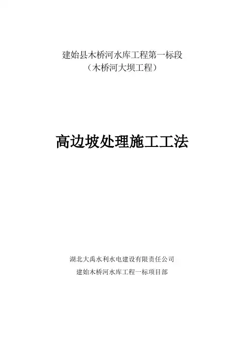 高边坡处理方案剖析