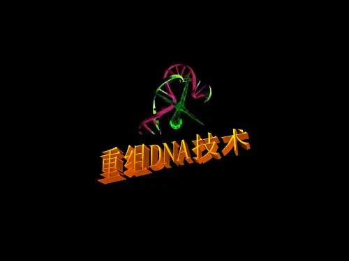 重组DNA技术