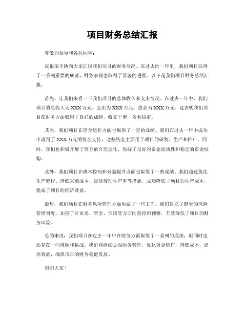 项目财务总结汇报