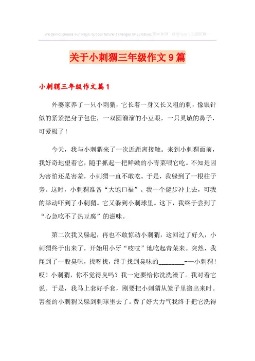 关于小刺猬三年级作文9篇