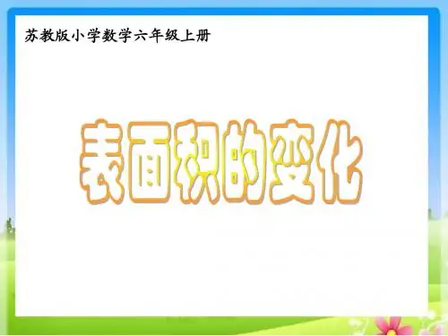 苏教版六上课件---表面积的变化