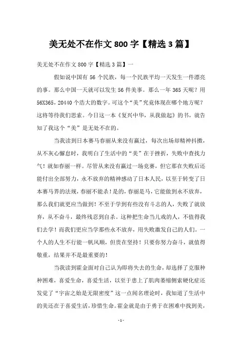美无处不在作文800字【3篇】