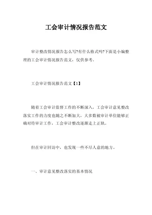 工会审计情况报告范文
